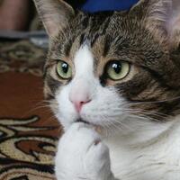 keindahan-plus-kengerian-5-tempat-di-dunia-yang-mencengangkan-dan-benar-benar-ada