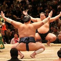 baca-ini-sebelum-nonton-sumo-di-jepang-gan