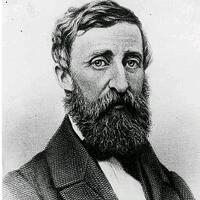 quotsang-pembangkangquot-oleh-henry-david-thoreau
