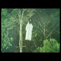 i-saw-the-unseen-in-malang-indigo-stories