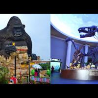 i-saw-the-unseen-in-malang-indigo-stories