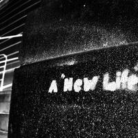 make-a-new-life--new-born