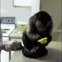 enak-banget-karyawan-microsoft-kerjanya-dari-rumah-pohon-gan