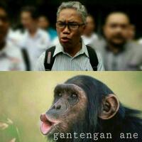 hanya-homo-wajakinensis-dan-soloensis-yang-pribumi-sejati