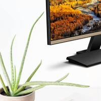 official-lounge-benq-zowie-monitor