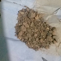 poli-supranatural-reborn---bantuan-gratis