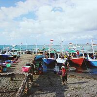 menelusuri-pelelangan-hiu-ilegal-terbesar-di-lombok