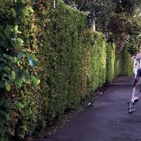 alun-alun-nikonian---part-14