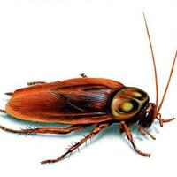 apa-yang-paling-ditakuti-orang-orang-sedunia-survei-ini-menjawabnya