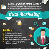 head-marketing--solusiukmcom