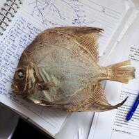 lounge-tempat-ngobrol-saltwater-fish-keepers