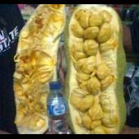 inilah-khasiat-ampuh-biji-nangka-rebus-bagi-kesehatan