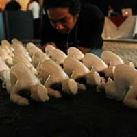 umat-islam-tolak-purwakarta-dijadikan-kota-berhala