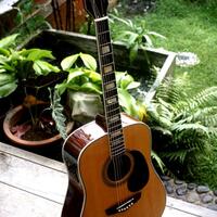 all-about-acoustic-guitar---part-1