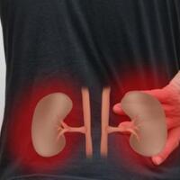 kini-ada-alternatif-lain-untuk-pasien-gagal-ginjal-selain-cuci-darah