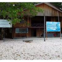 selamat-pagi-penyu-penyu-kecil-pulau-sangalaki