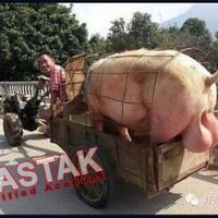 post-image
