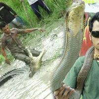 hilang-bak-ditelan-bumi-dan-dikabarkan-meninggal-tiba-tiba-muncul-status-panji