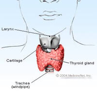 pengobatan-herbal-thyroid--gondok