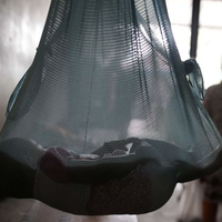 kronologi-kasus-ibu-bunuh-anak-dengan-semprotan-obat-nyamuk