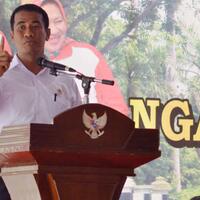 kalteng-diproyeksikan-jadi-lumbung-padi-organik