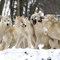 tak-cuma-global-warming-ini-6-dampak-besar-akibat-ulah-makhluk-hidup