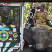 jangan-ditiru-turis-indonesia-beri-minuman-beralkohol-kepada-hewan-di-taman-safari