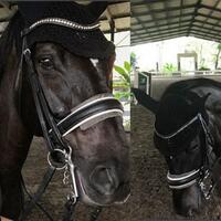 saat-hamil-tua-begini-nabila-syakieb-tetap-berkuda