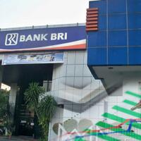 bank-bri-menyalurkan-kur-bagi-200-ribu-nasabah-pelaku-umkm-di-padang