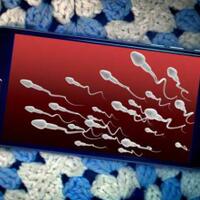 donor-sperma-di-ui-kompensasi-rp-100-ribu-dan-makan-siang