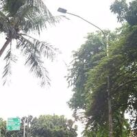 klarifikasi-pln-yang-ditabrak-novanto-tiang-lampu-bukan-tiang-listrik