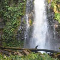 wow-air-terjun-cunca-rede-tertinggi-di-flores-barat
