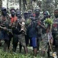 kemarahan-dan-perlawanan-kkb-usai-pembebasan-sandera-di-papua
