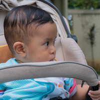 new-pendopo-sony-alpha---part-2