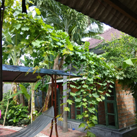 kampung-anggur----part-3