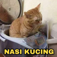 demi-kucing-tersayang-tak-masalah-keluar-rp-2-juta-di-pet-shop