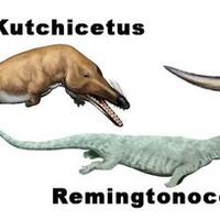 tidak-runtuhnya-teori-evolusi-dalam-20-jawaban---part-1