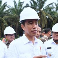 presiden-banyak-kebun-sawit-indonesia-sudah-tua