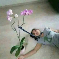 pemuda-probolinggo-tantang-tni-di-sosial-media-saat-diciduk-malah-begini-ekspresinya