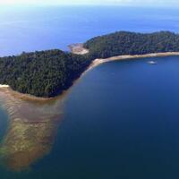 konsep-unik-film-yang-cocok-dengan-keadaan---situasi-yang-ada-di-indonesia