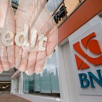 bni-salurkan-kembali-kredit-rp300-miliar-ke-pnm