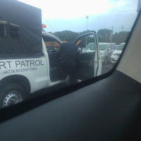 ask---all-about-go-car