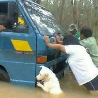 amien-rais-minta-presiden-jangan-memecah-belah-dprd-diy-ada-bencana-dia-ke-mana