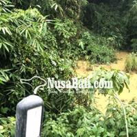 kotoran-babi-menggenang-di-jurang