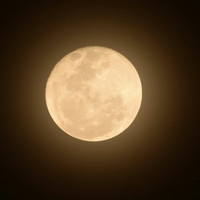supermoon-sibulan-cantik-yang-terdekat-dengan-bumi