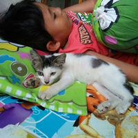 dosa-yang-sering-kita-lakukan-ke-hewan-sewaktu-kita-masih-kecil