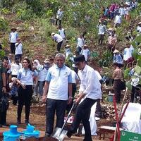jokowi-sentil-soal--kecurangan--di-program-penanaman-pohon-kementerian-lhk