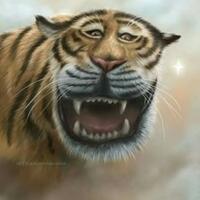 inilah-beberapa-kelakuan-gak-lazim-saat-terjadi-kecelakaan-lalu-lintas