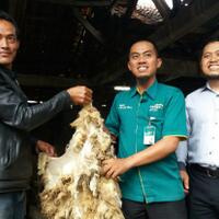 melirik-peluang-usaha-penyamakan-kulit-di-garut