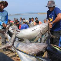 dilindungi-undang-undang-nelayan-bisa-optimal-tangkap-ikan